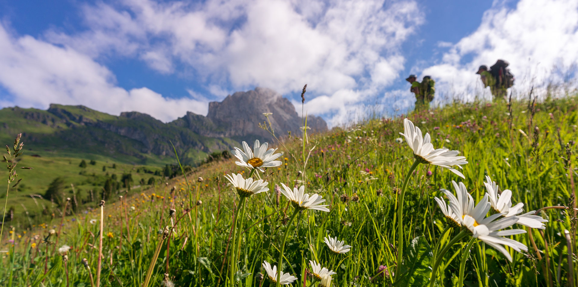 Sentiero sull'Alpe di Seceda con le Odle sullo sfondo